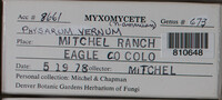 Image Associated With the Occurence